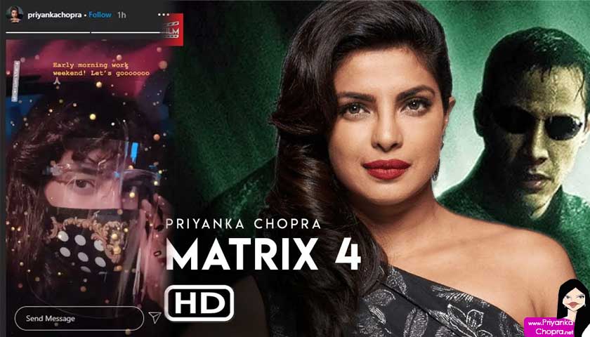 Priyanka Chopra mask, matrix 4